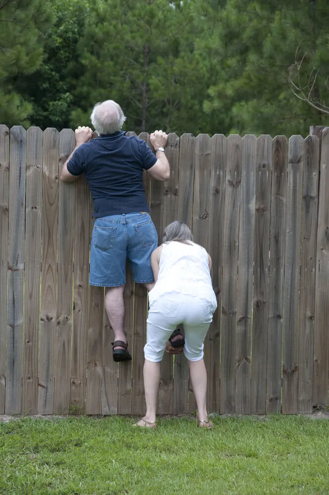 nosy neighbors