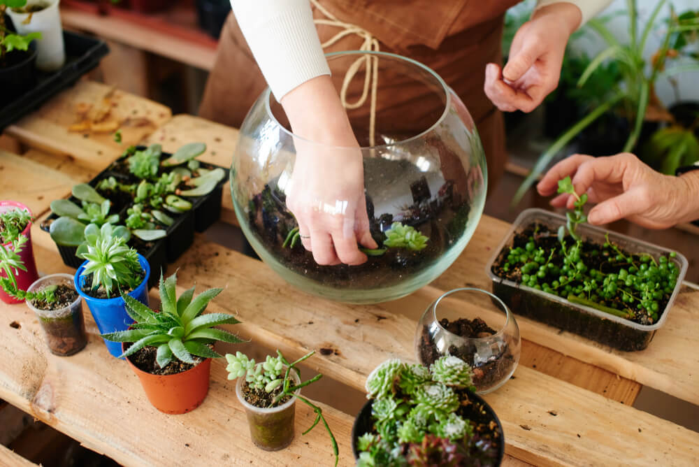 Girl nerd florist make a mini terrarium with house plants