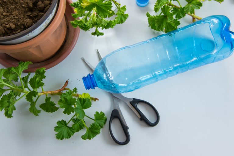 Simple Container Drip Craft Your Own Simple DIY Drip Irrigation System in Minutes for Just 10 ...